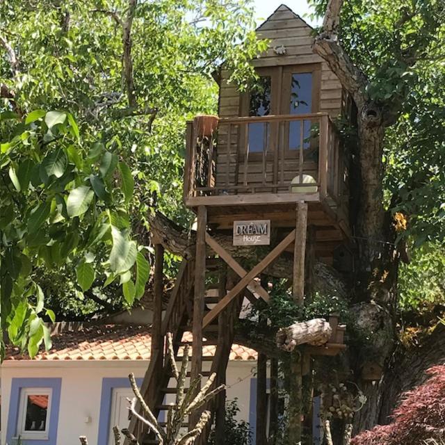 Casa Oliva - Casa Da Serra Porto de Mos  Bagian luar foto