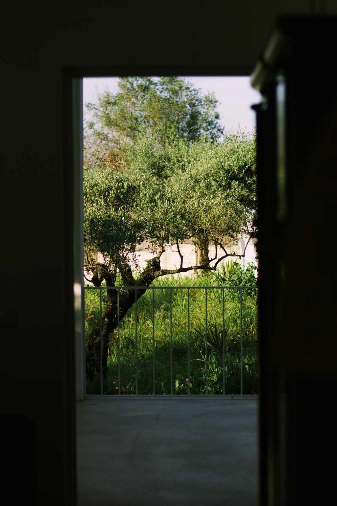 Casa Oliva - Casa Da Serra Porto de Mos  Bagian luar foto