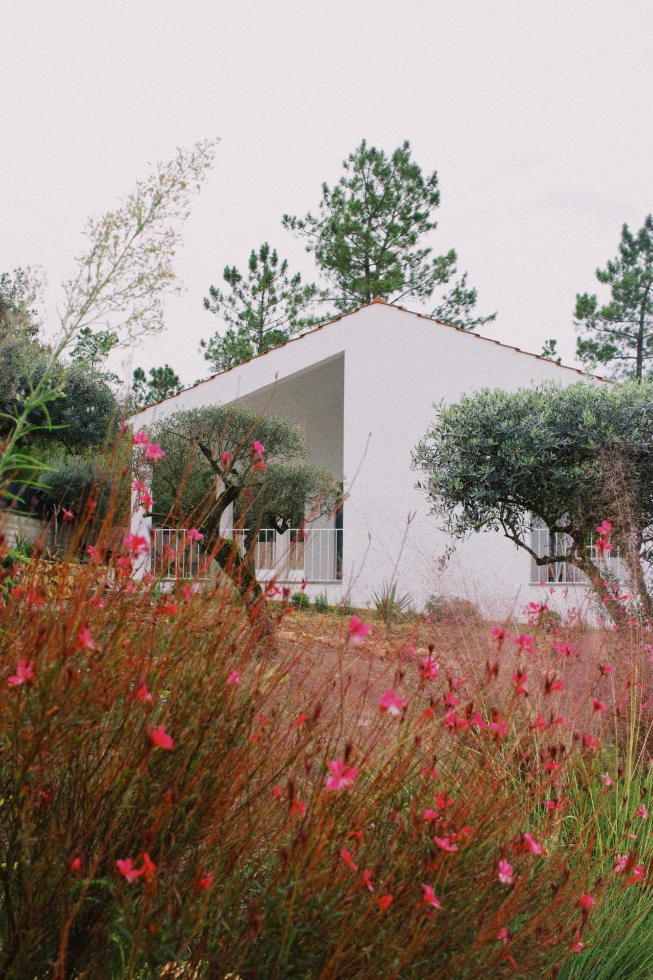 Casa Oliva - Casa Da Serra Porto de Mos  Bagian luar foto